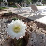 Dimora Pianelle 3*