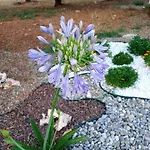 Dimora Pianelle Bed and breakfast