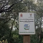 Dimora Pianelle Crispiano