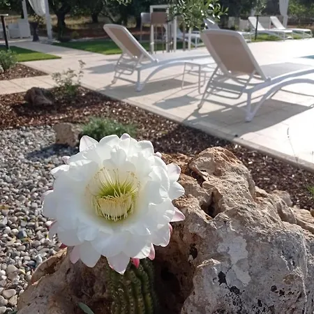 Dimora Pianelle 3*
