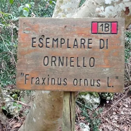 Dimora Pianelle