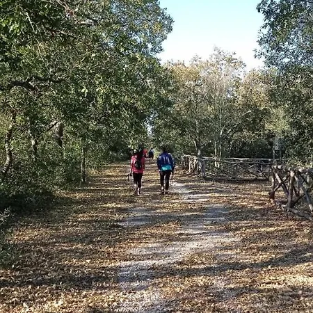 Dimora Pianelle Bed & Breakfast Crispiano