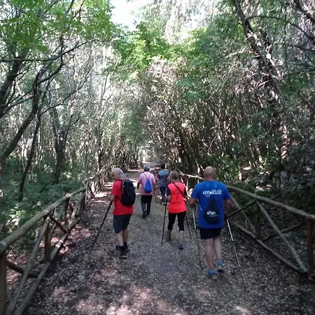 Dimora Pianelle Bed & Breakfast Crispiano