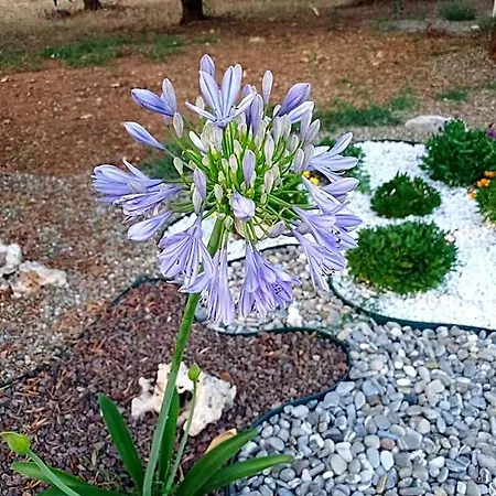 Dimora Pianelle