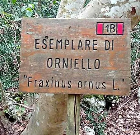 Bed and breakfast Dimora Pianelle