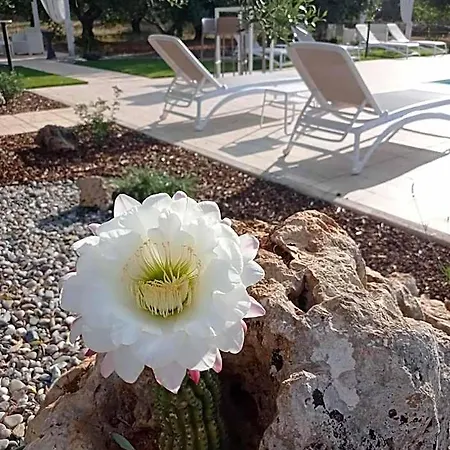 Dimora Pianelle Bed and breakfast Crispiano