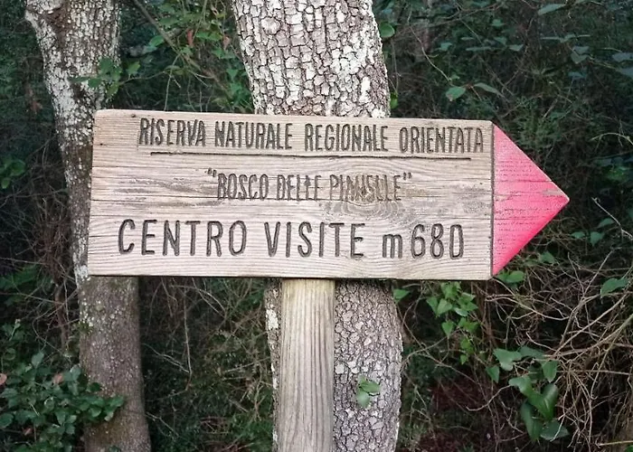 Oda ve Kahvaltı Dimora Pianelle Crispiano