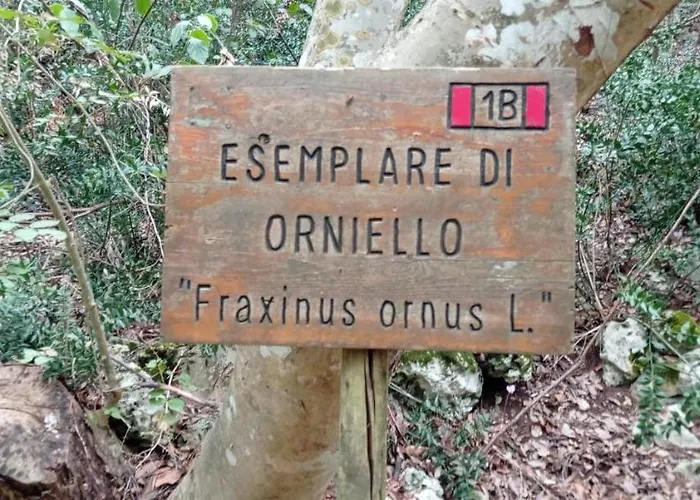 Dimora Pianelle