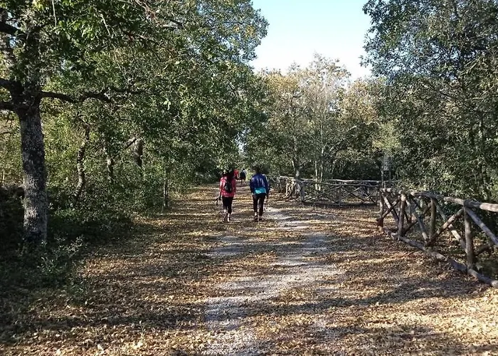 Dimora Pianelle Oda ve Kahvaltı Crispiano