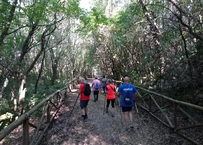 Dimora Pianelle ベッド・アンド・ブレックファスト Crispiano